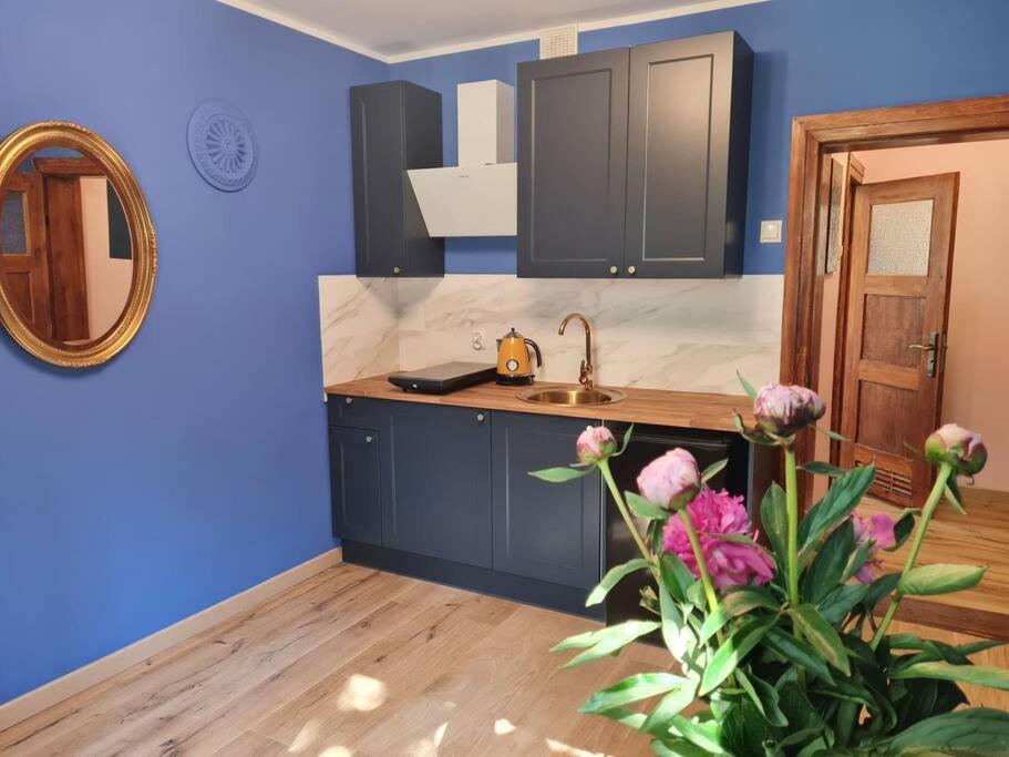 Apartament Kraszewskiego - Retro, Blisko Starowki, Kolo Parku, Ogrod Dla Gosci, Rowery Free Stary Toruń Esterno foto