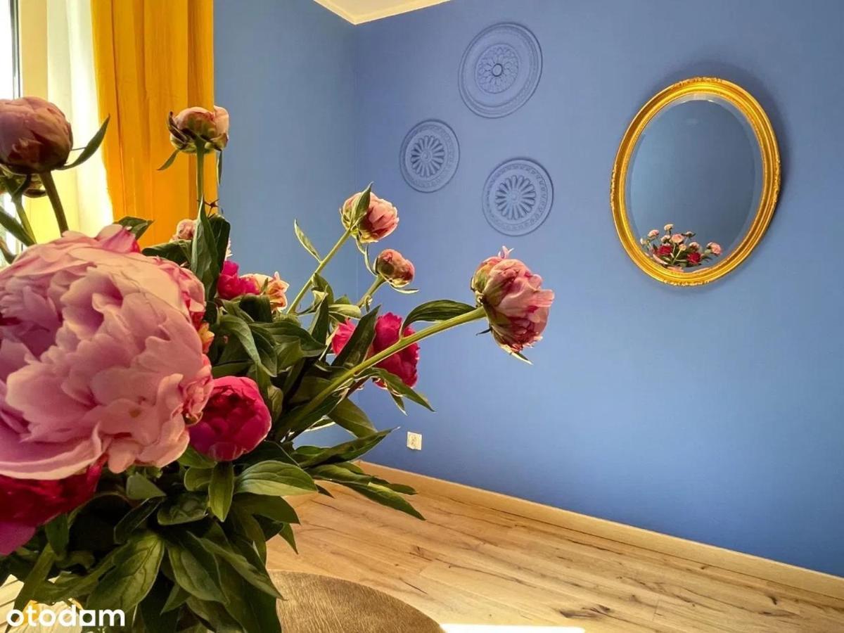 Apartament Kraszewskiego - Retro, Blisko Starowki, Kolo Parku, Ogrod Dla Gosci, Rowery Free Stary Toruń Esterno foto